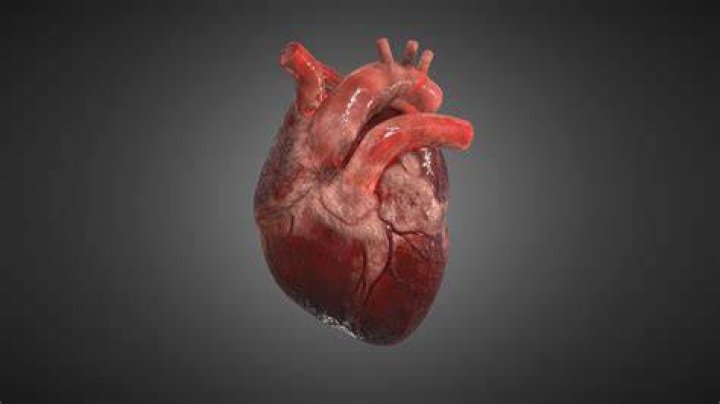 3d Heart Free Stock Photo Public Domain Pictures