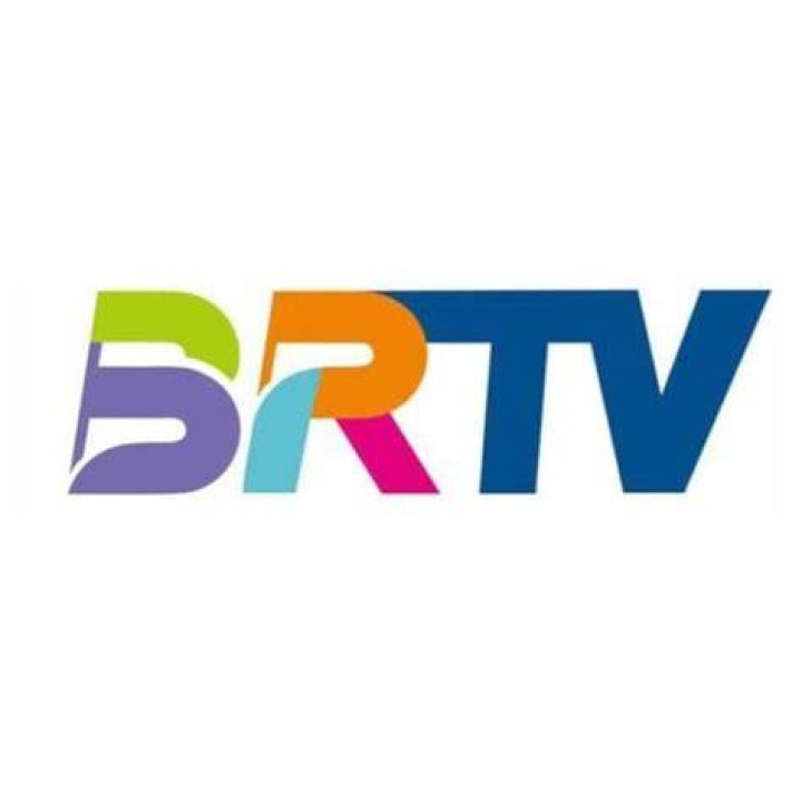 BRTV A Day in the Life of a Dogwalker Buffalo Rising