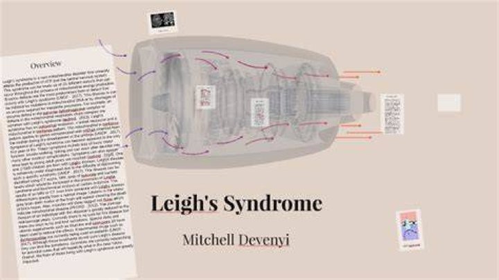 Megan Leigh's Life And The Accident That Changed Everything
