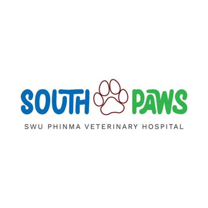 South paws UBNow News and views for UB faculty and staff
